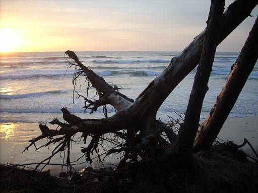 Oregon coast 092.jpg - The wind and waves display the power of the Creator.